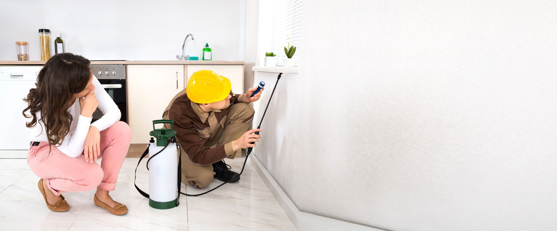 Domestic Pest Control